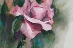Die-Rose_Blumen1