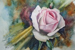 Koenigin-der-Blumen